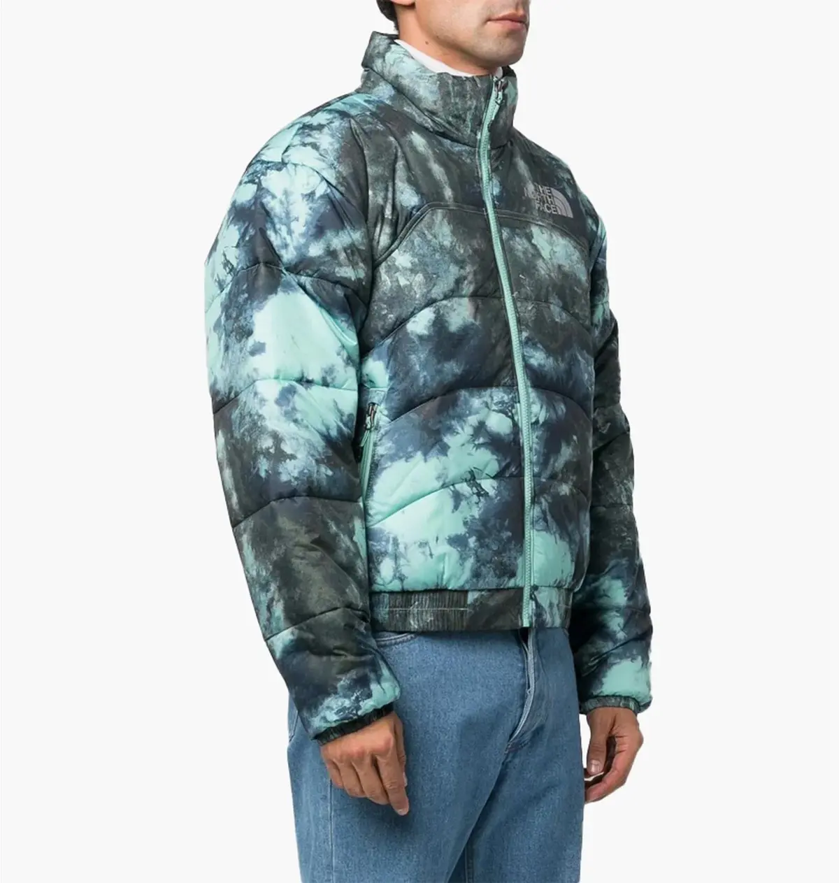 Куртка мужская The North Face Elements 2000 Printed Jacket