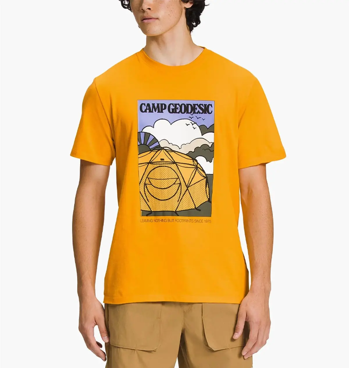 Футболка мужская The North Face Sleeve Places We Love Camp Geodesic