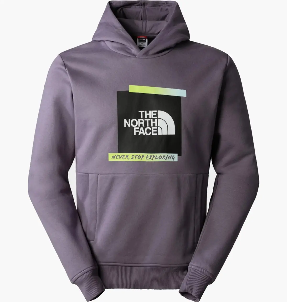 Кофта чоловіча The North Face Graphic