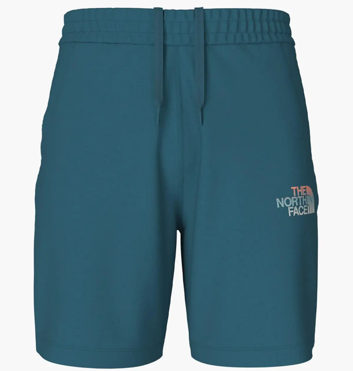 Шорты мужские The North Face Graphic