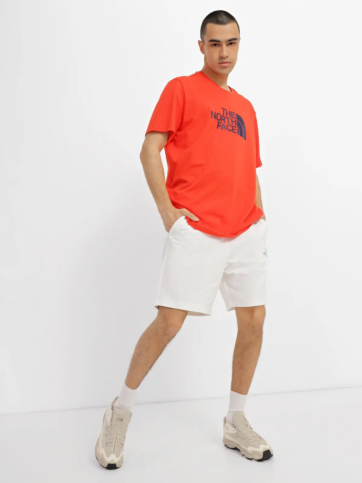 Шорты мужские The North Face D2 Graphic Short