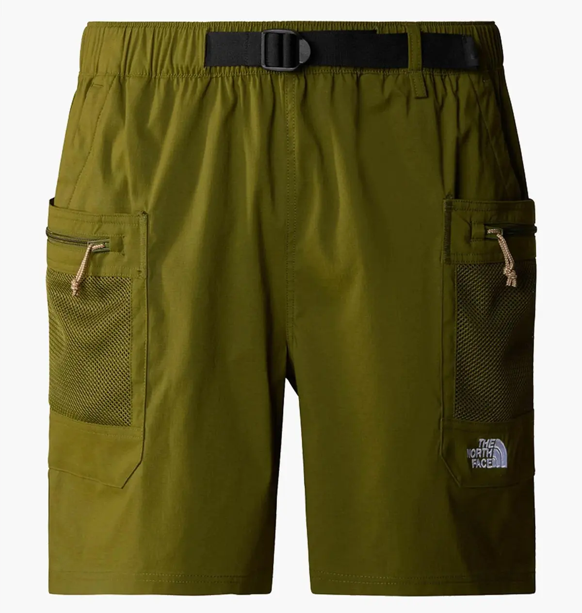 Шорты мужские The North Face Class V Pathfinder Belted Olive