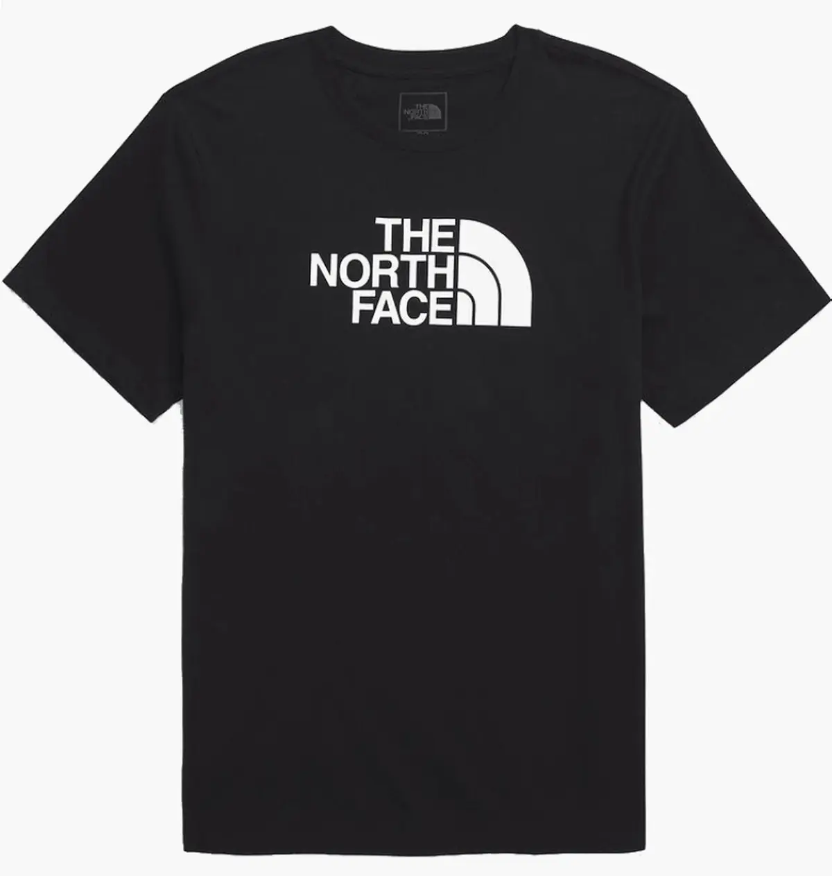 Футболка мужская The North Face Evolution Half Dome Black