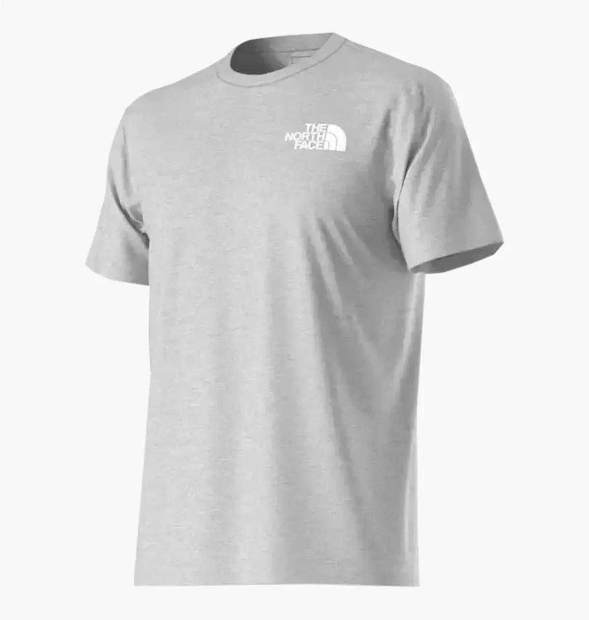 Футболка мужская The North Face Evolution Box Nse Grey