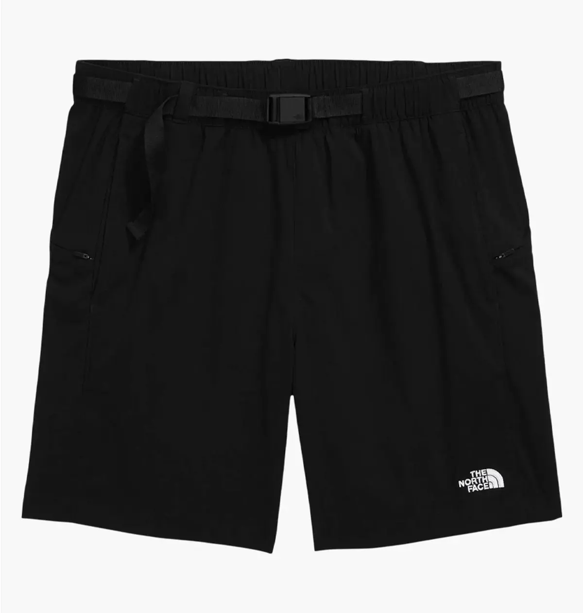 Шорты мужские The North Face Class V Pathfinder Belted Black