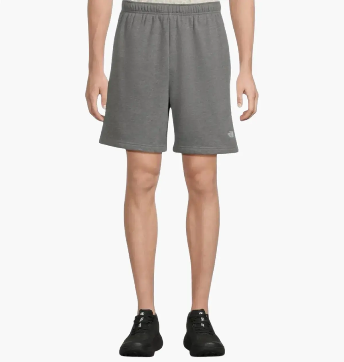 Шорты мужские The North Face Evolution Emb Grey