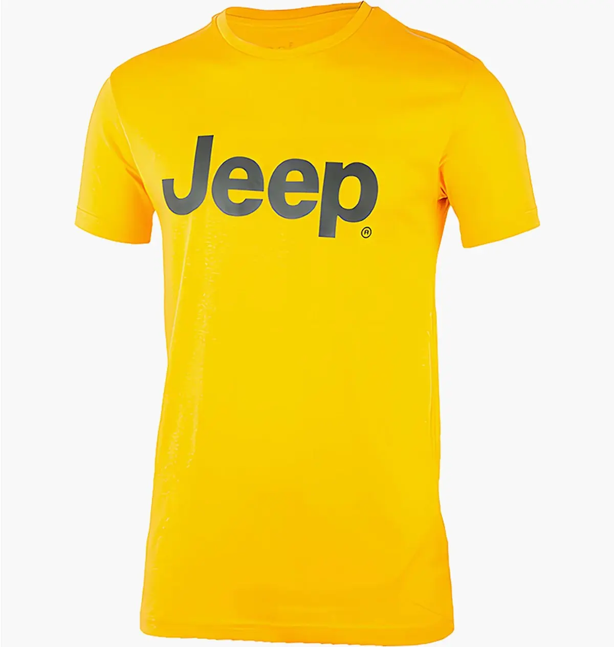 Футболка чоловіча Jeep T-Shirt J22w