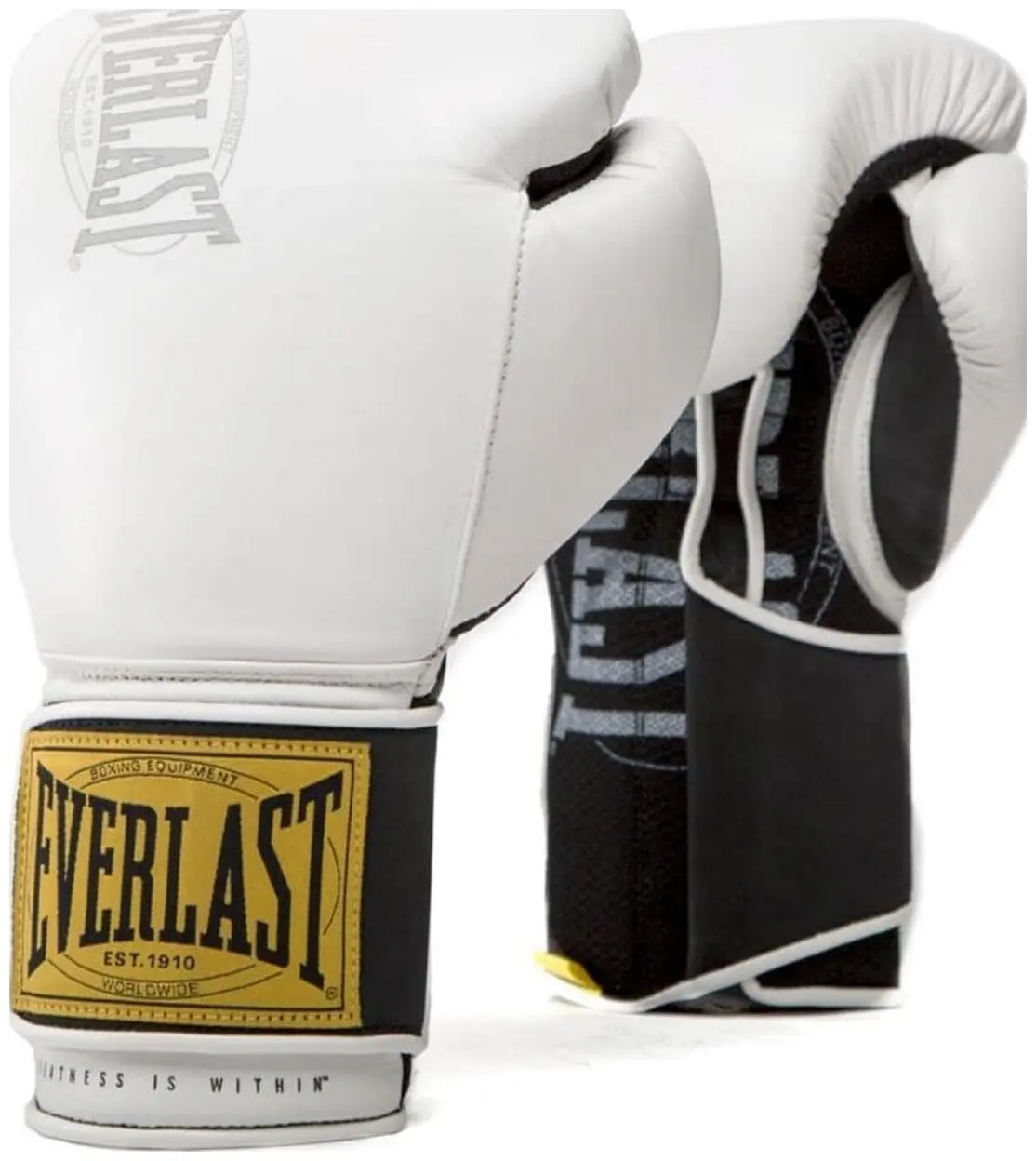 Боксерські рукавиці Everlast 1910 Classic Training Glove