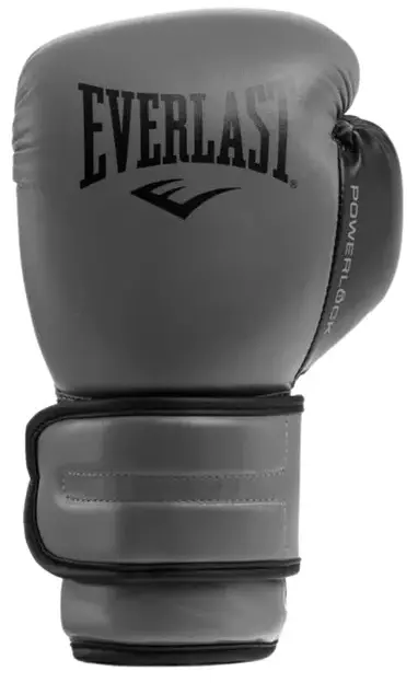 Боксерські рукавиці Everlast Powerlock 2R Training Glove