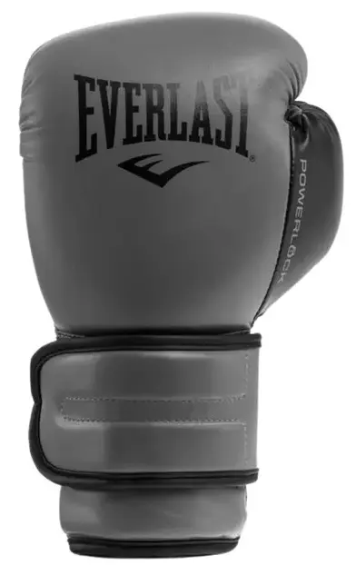 Боксерські рукавиці Everlast Powerlock 2R Training Glove