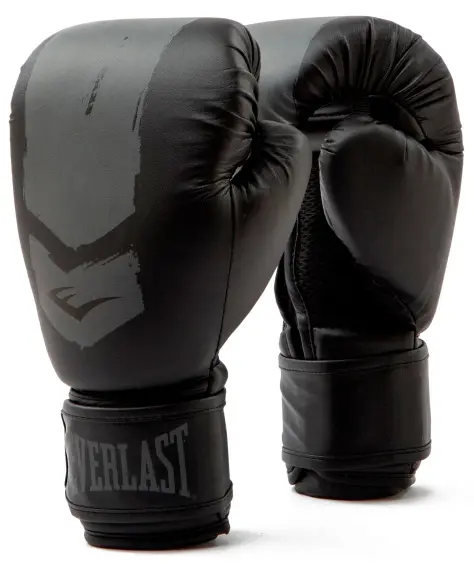 Боксерские перчатки Everlast Prospect 2 Boxing Glove