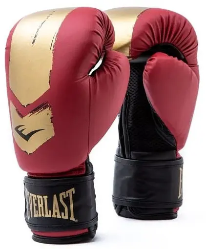Боксерские перчатки Everlast Prospect 2 Boxing Glove