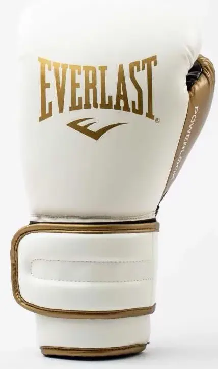 Боксерські рукавиці Everlast Powerlock 2R Training Glove