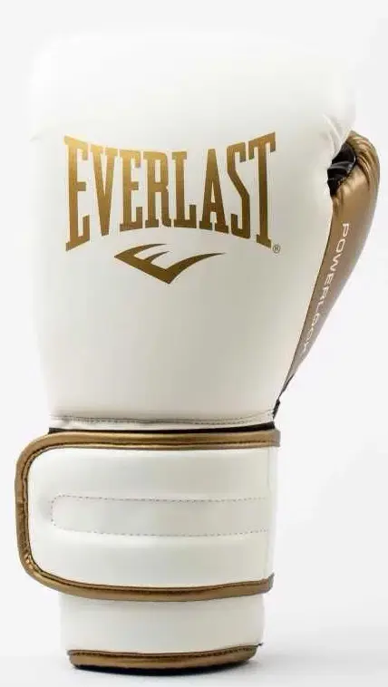 Боксерські рукавиці Everlast Powerlock 2R Training Glove