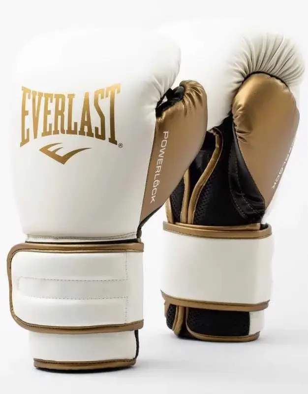 Боксерські рукавиці Everlast Powerlock 2R Training Glove