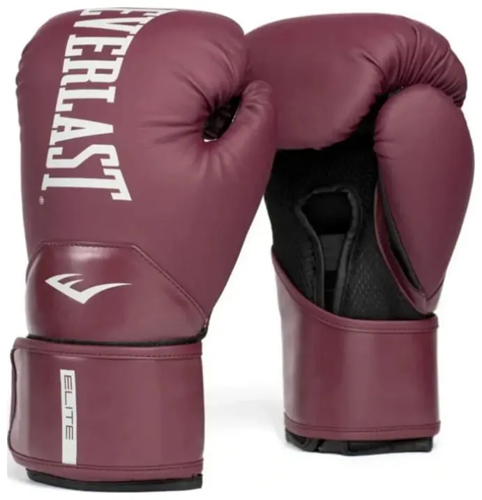 Боксерські рукавиці Everlast Elite 2 Boxing Gloves