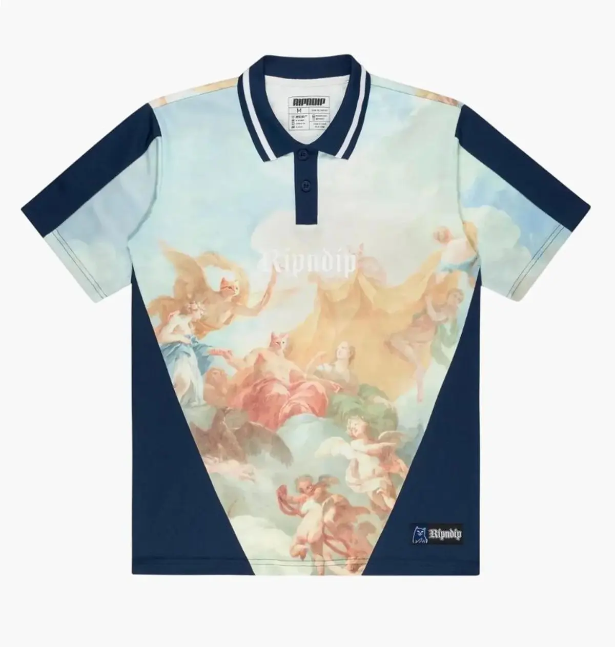 Футболка мужская Ripndip Ripndip Heavens Waiting Multi