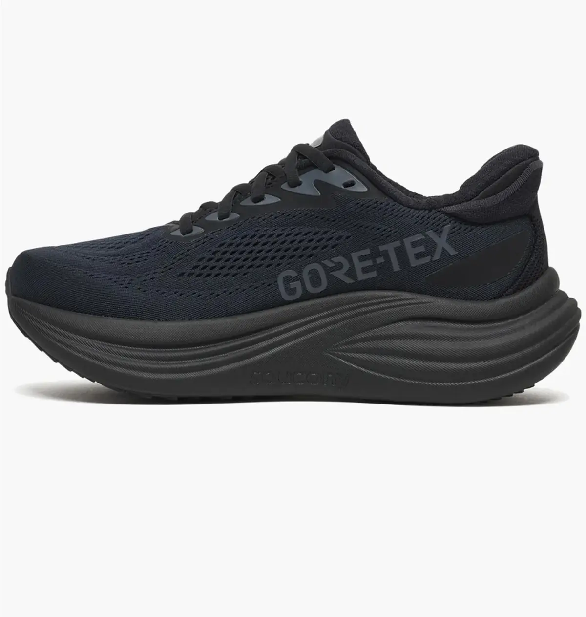 Кроссовки мужские Saucony Triumph 24 Gtx Black