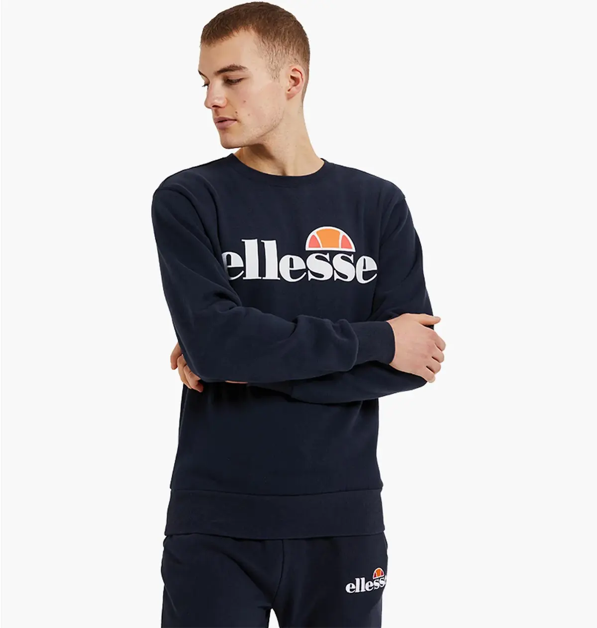 Кофта мужская Ellesse Sl Succiso