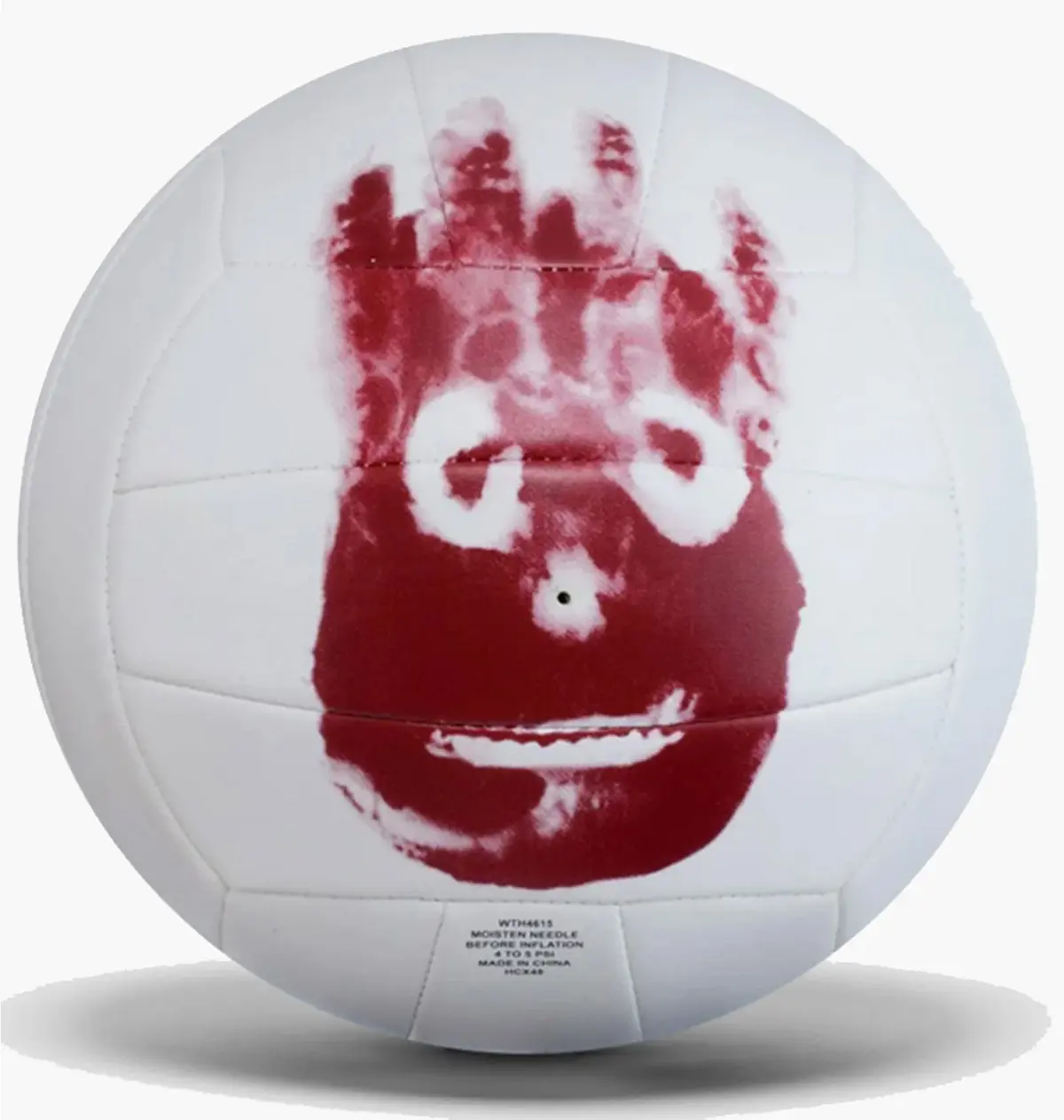 Волейбольний м'яч Wilson Mr Wilson Castaway