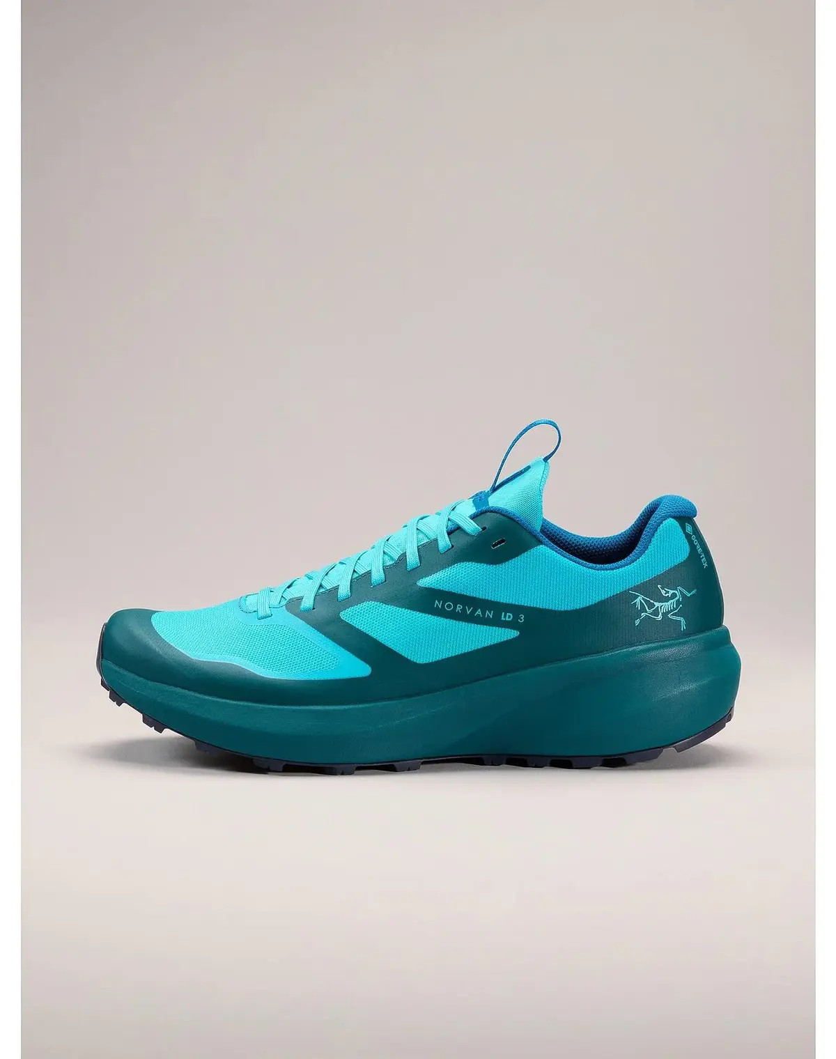Кросівки чоловічі Arc'teryx Norvan Ld 3 Gtx Shoe Blue Tetra/Pytheas