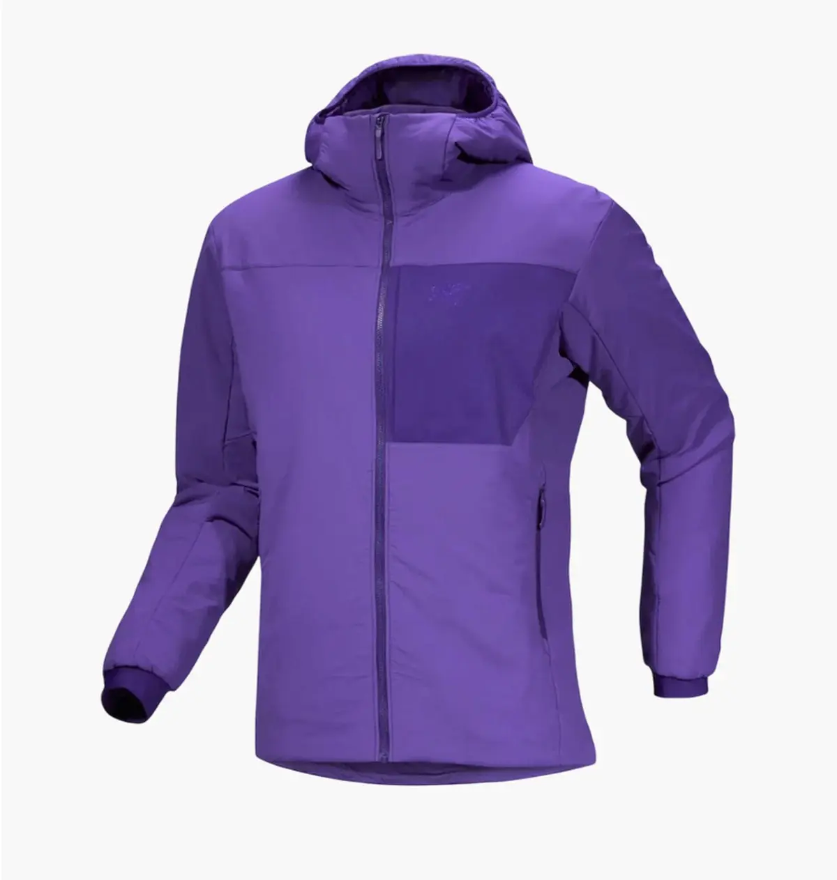 Куртка мужская Arc'teryx Proton Hoody Violet