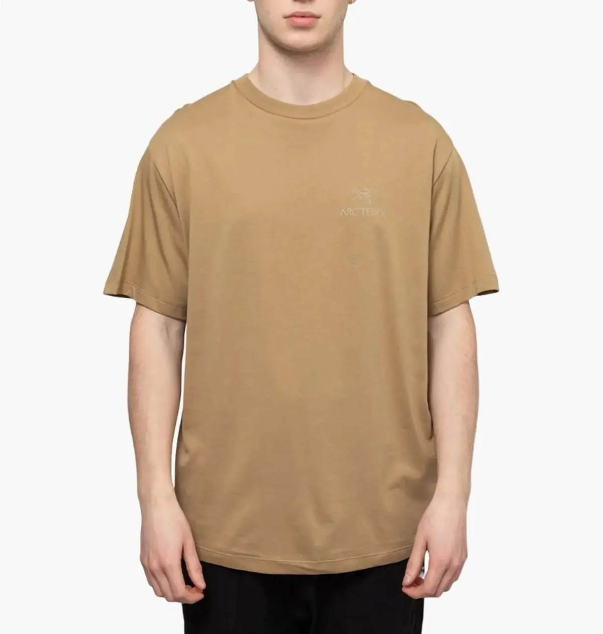 Футболка мужская Arc'teryx Bird Word Beige