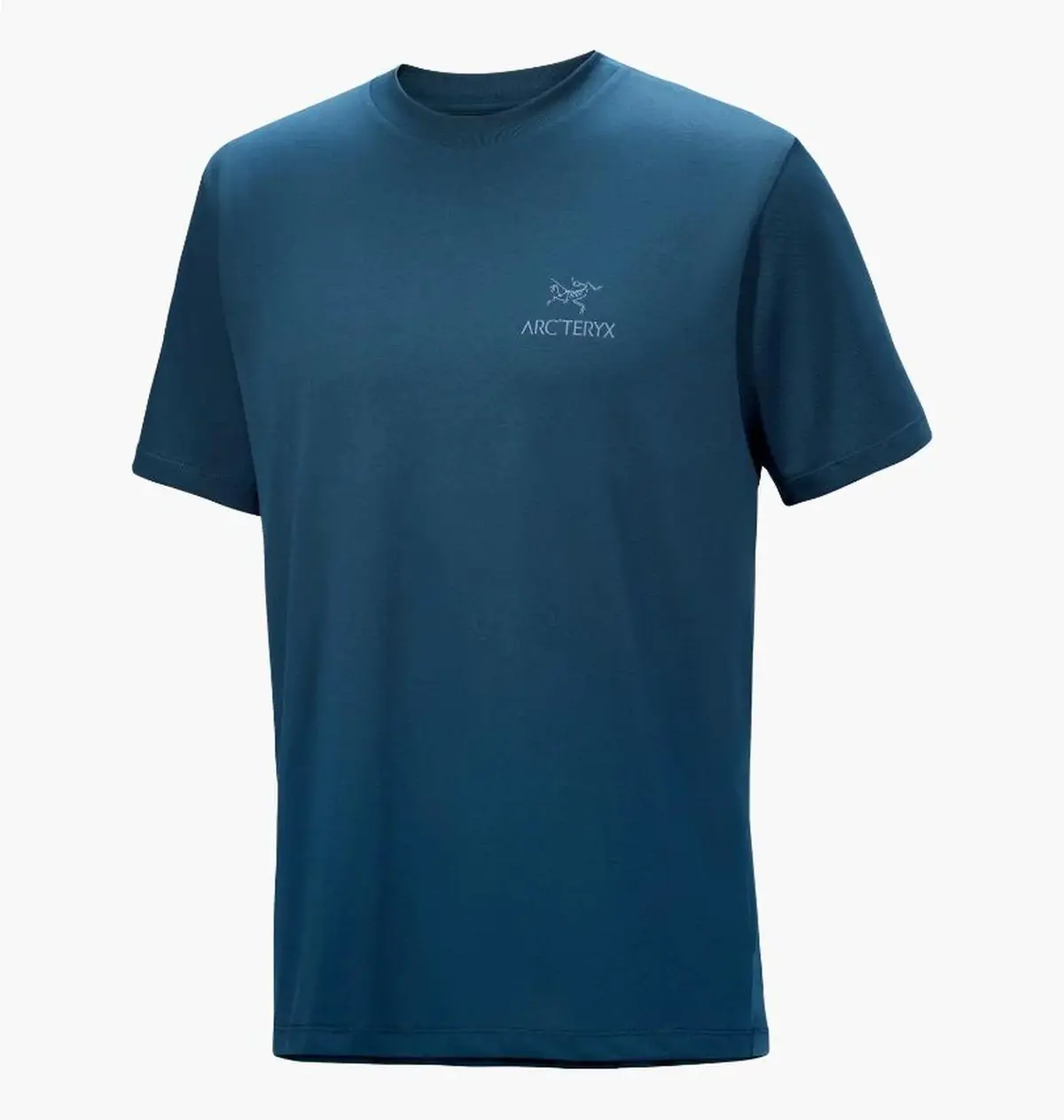 Футболка мужская Arc'teryx Bird Word Blue
