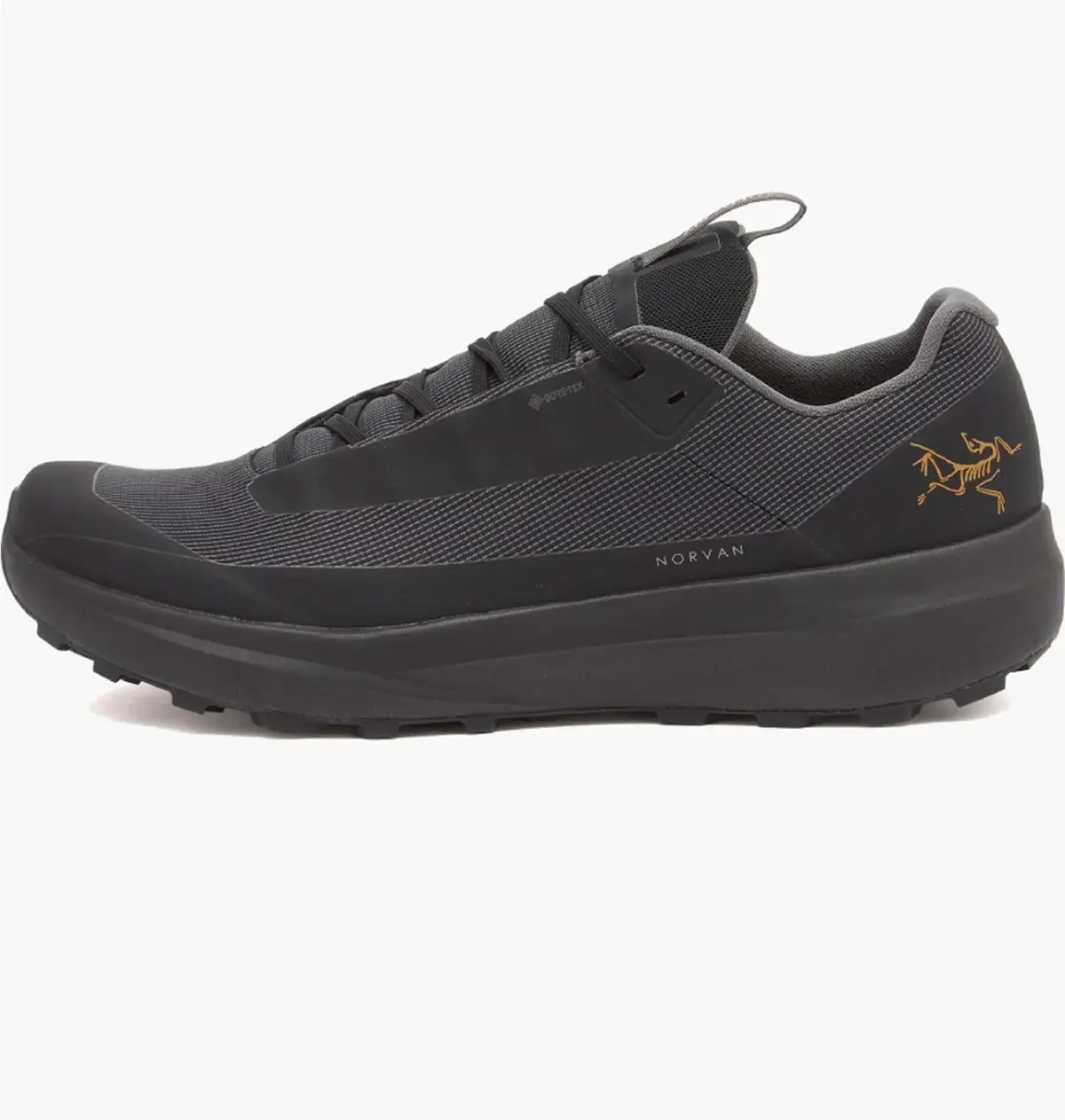 Кроссовки мужские Arc'teryx Norvan Ld 4 Gtx Black