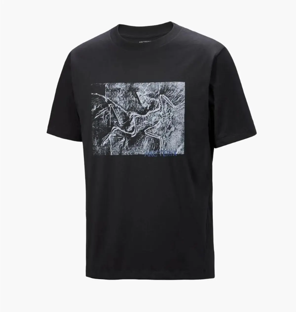 Футболка мужская Arc'teryx Lithographica Black