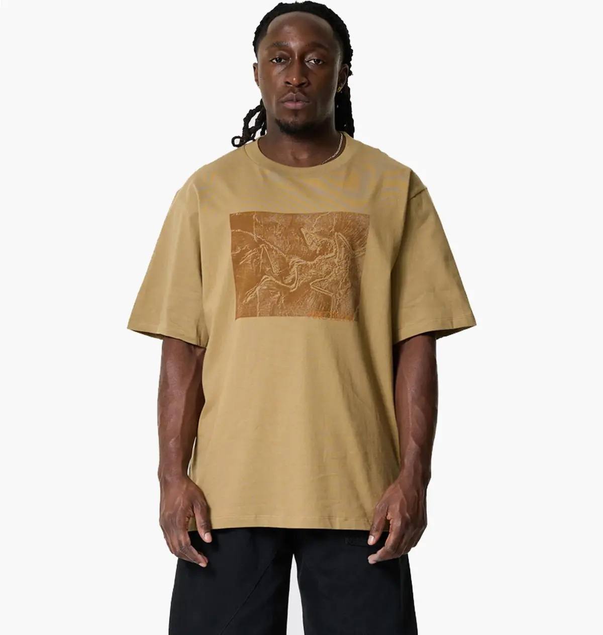 Футболка мужская Arcteryx Arc'teryx Kragg Lithographica Beige