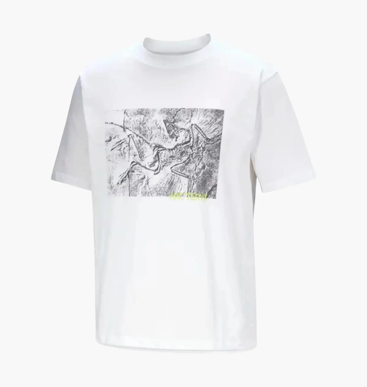 Футболка мужская Arcteryx Arc'teryx Kragg Cotton Lithographica White